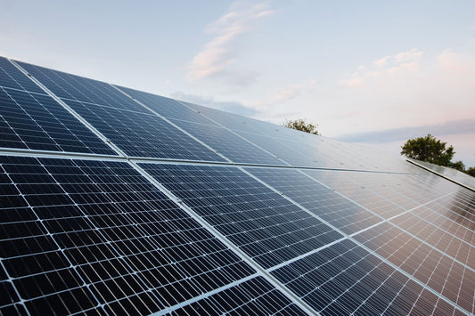 An up-close view of tilted solar panel arrays in the evening